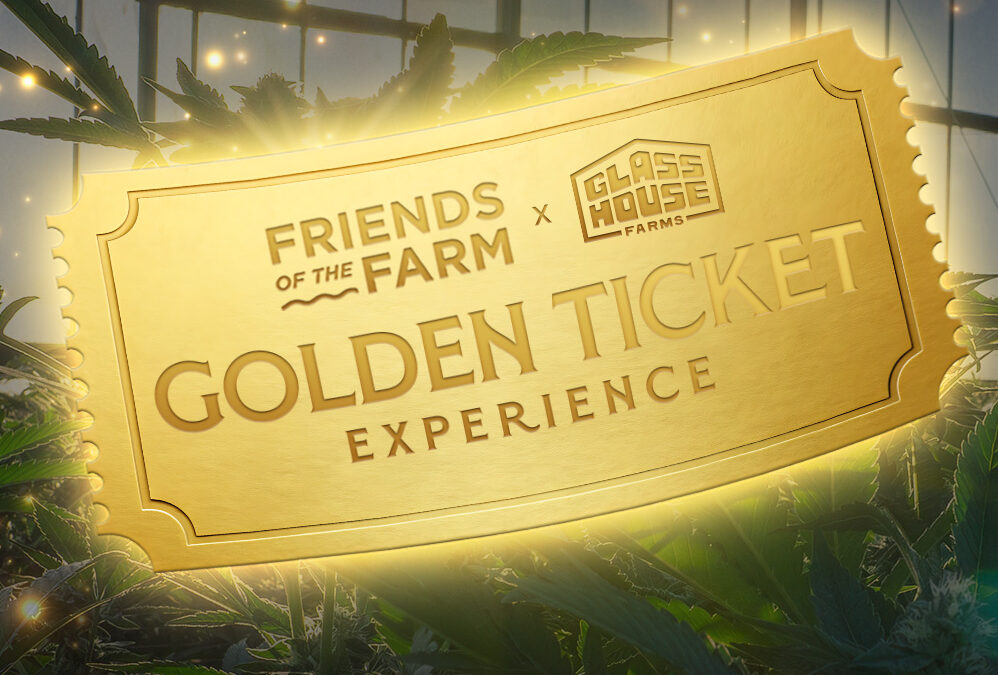 The Golden Ticket Experience