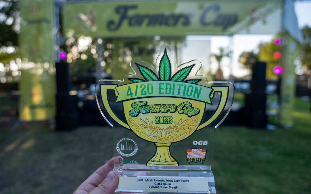 Award-Winning Flower: Peanut Butter Breath Wins Best Hybrid