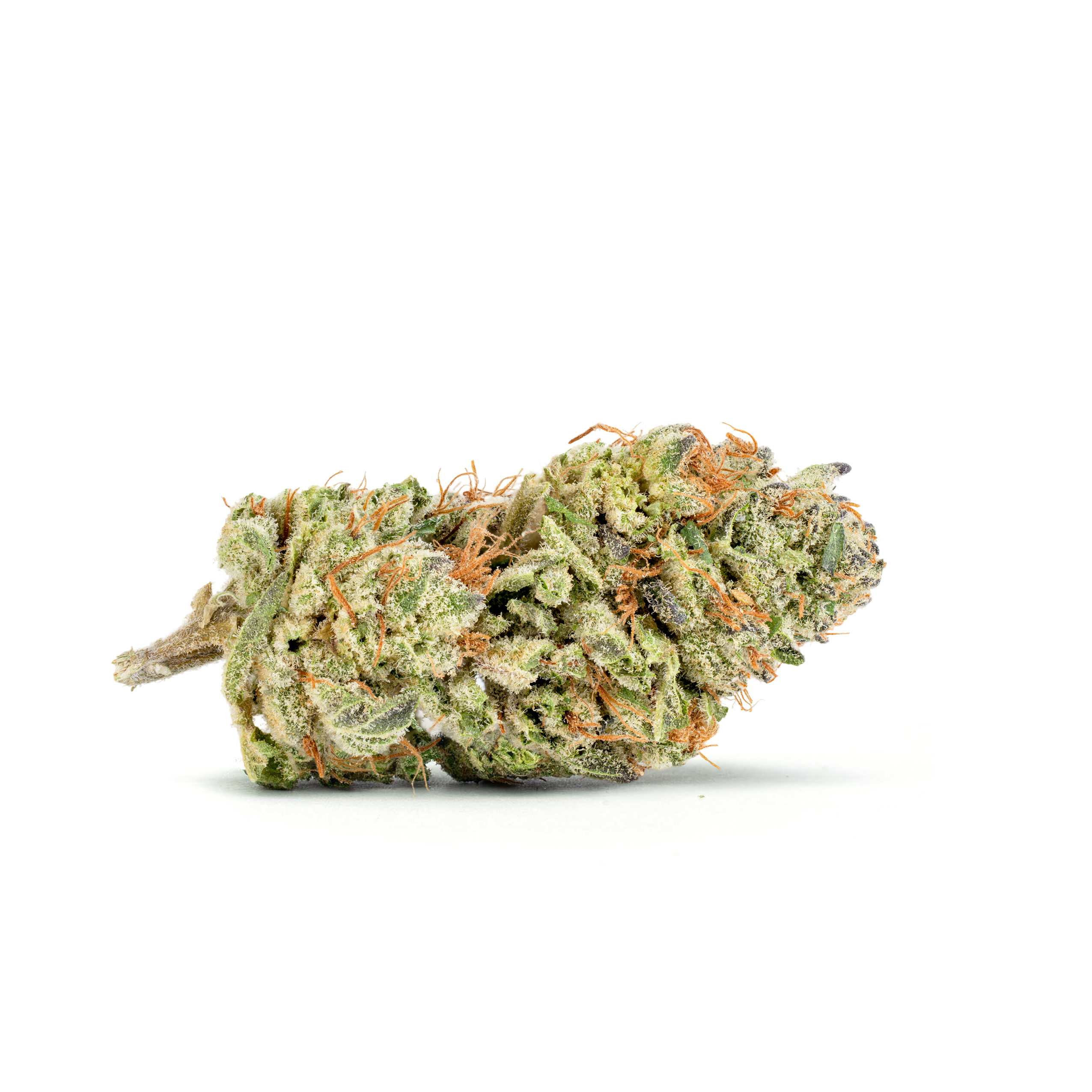 Key Lime Jack